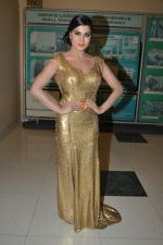 Veena Malik_s Super Model premiere in Fun, Mumbai on 2013 (45).JPG